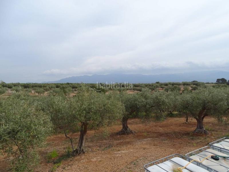 Foto 7f5cb378-86c8-43cb-847f-8e6e517bad56. Wohngrundstück in Xerta