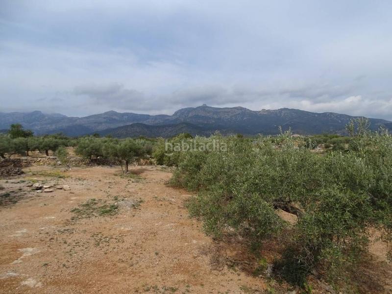 Foto a4d5cb26-8d2b-4233-91cf-394d70f31693. Wohngrundstück in Xerta