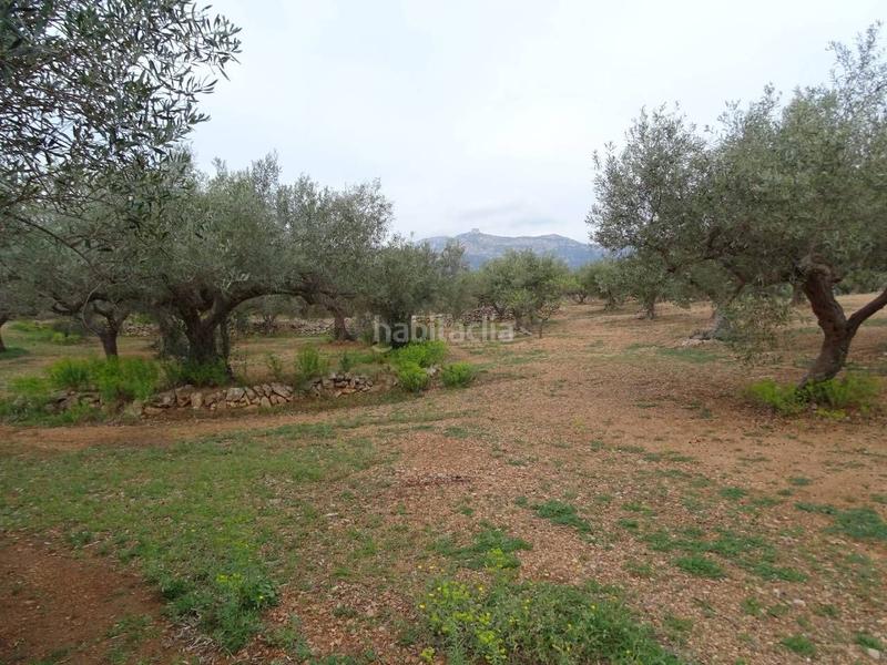 Foto abfbcff3-8f15-48a8-8016-0efa90afa081. Wohngrundstück in Xerta