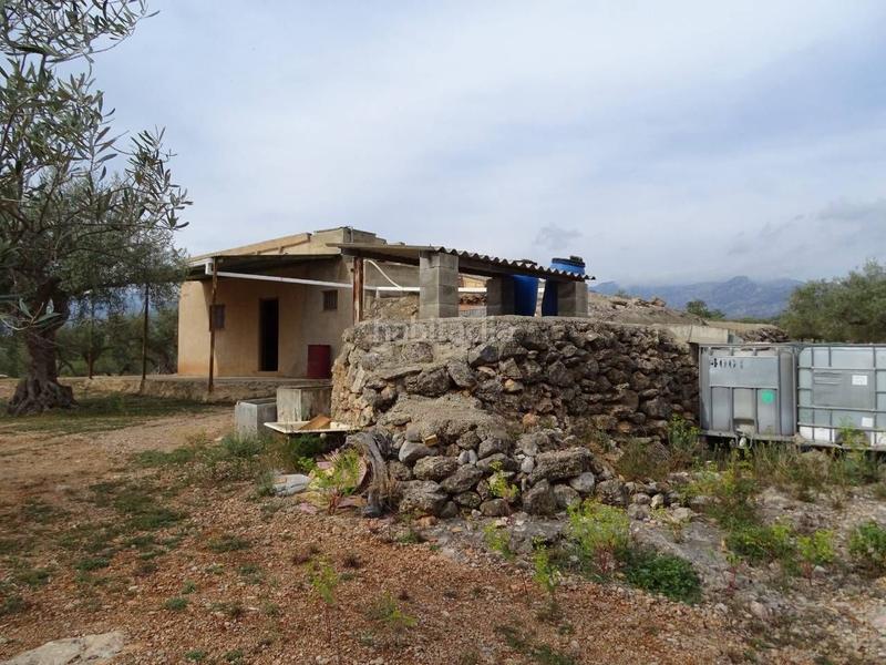 Foto ac53b783-6bdf-4e80-83a3-2dec86cbd686. Wohngrundstück in Xerta