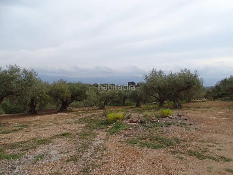 Foto b20aee9a-b696-412e-b7f6-a7f696482a00. Wohngrundstück in Xerta