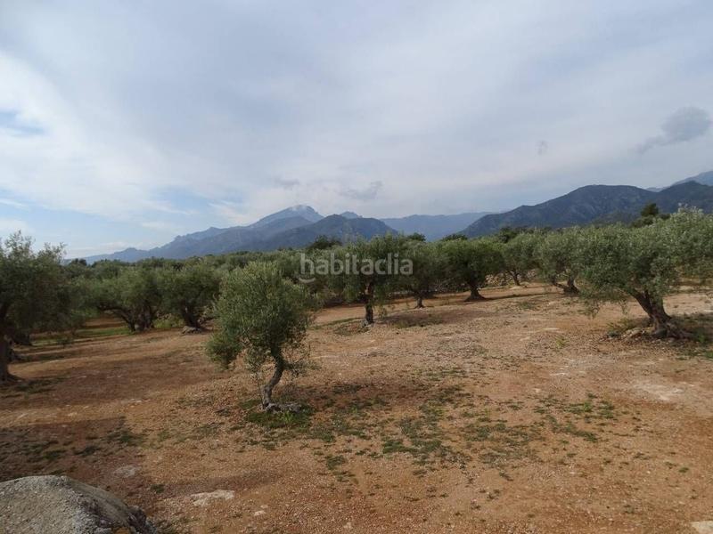 Foto b62e557d-e5e4-41d2-a6e9-4272699bda4a. Wohngrundstück in Xerta