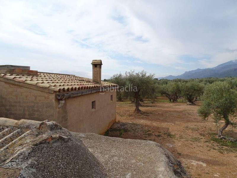 Foto ba9ef1ea-e981-4717-a6da-c2571090bc8a. Wohngrundstück in Xerta