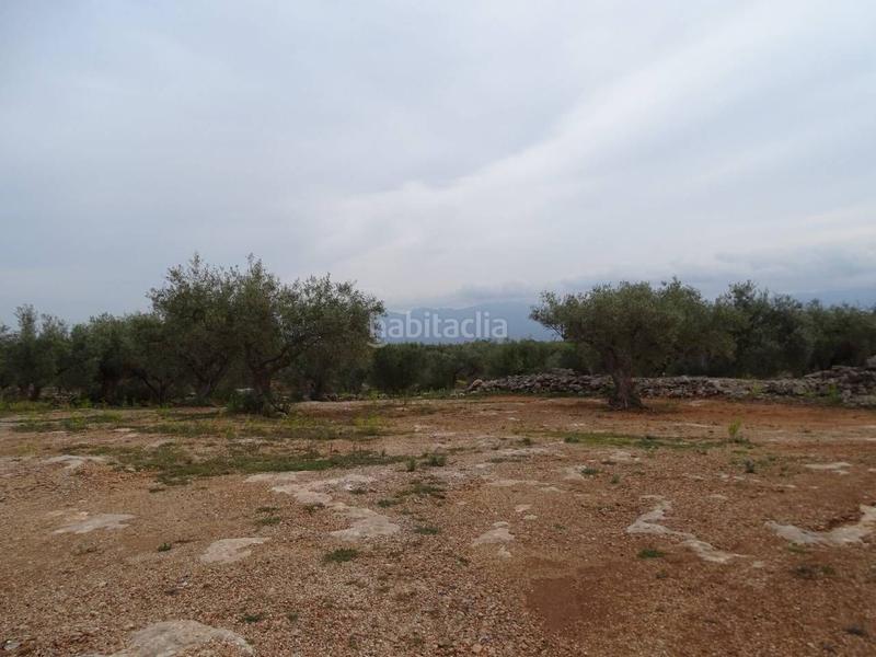 Foto bd0e3f92-935b-4b57-9ad8-e605403bc192. Wohngrundstück in Xerta