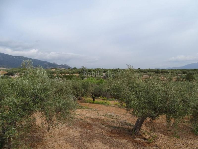 Foto cc7a28b0-46a8-4cc8-ab21-05a91e94786e. Wohngrundstück in Xerta