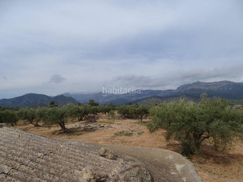 Foto e449642f-de36-44d7-b0c5-63a708349845. Wohngrundstück in Xerta