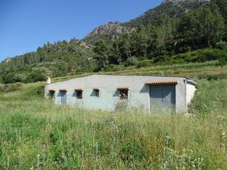 Residential Plot in Benifallet. Finca cerca del rio ebro con una  superficie de 8.922 m2 con cas