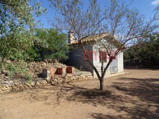 Residential Plot  Carrer carretera. Finca rústica con agua y caseta en venta en aldover