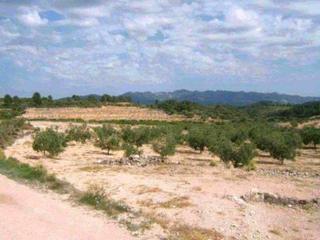 Residential Plot in Pinell de Brai (El). Finca con agua en venta en el pinell de brai
