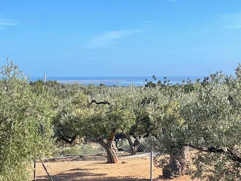 Foto 43d49c81-7002-4e8e-b4a4-57f6504411f8. Chalet  en venta en Camarles