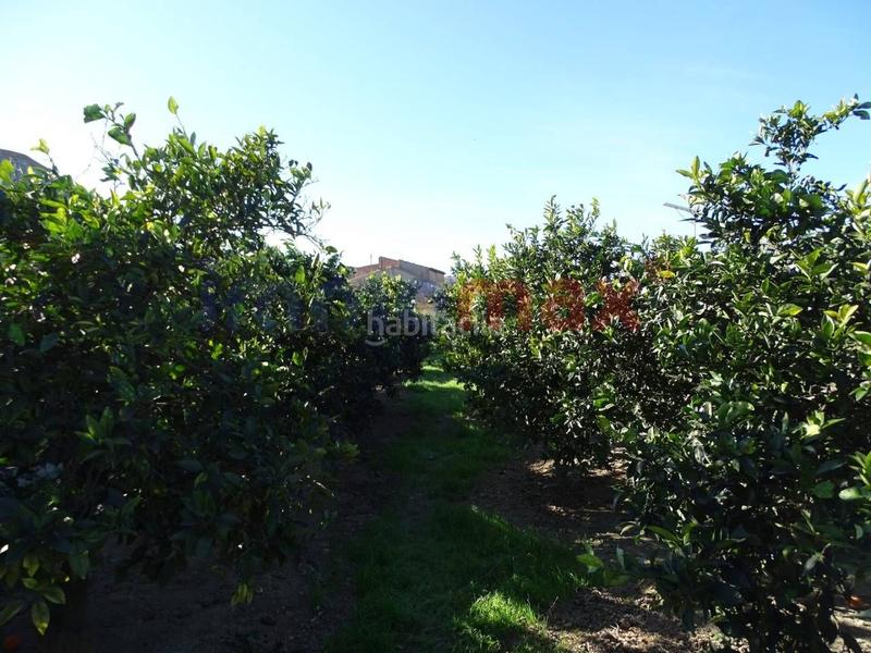 Foto 14c126d8-783d-4515-8442-2d3c13d7810d. Terrain résidentiel dans Xerta