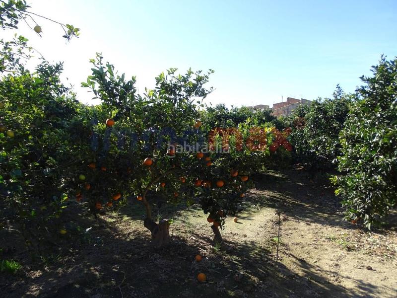 Foto 2b8f219b-2fba-4a42-8d02-764f2d353120. Terrain résidentiel dans Xerta