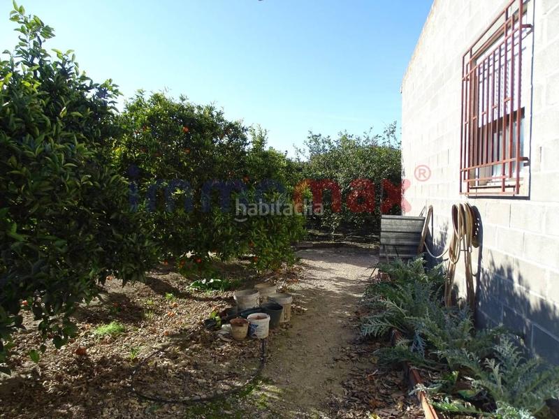 Foto 3d4ccd4e-82c7-446a-b5a6-5ea638ba9738. Terrain résidentiel dans Xerta