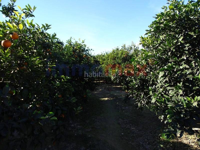 Foto 94b47808-2571-4190-af4d-d1758df9796b. Terrain résidentiel dans Xerta