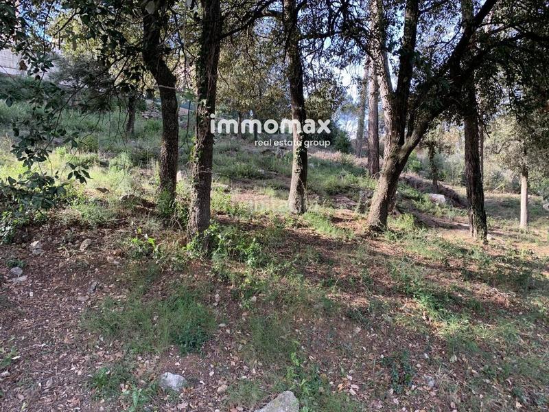 Foto 529d14f6-ad56-495f-ad07-48b24e4ad3ff. Finca rústica a Bigues i Riells del Fai