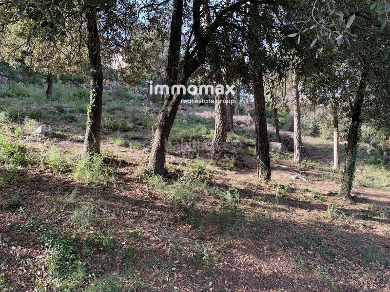 Foto 9f983710-9df6-4756-b601-2fbc622b941e. Finca rústica a Bigues i Riells del Fai