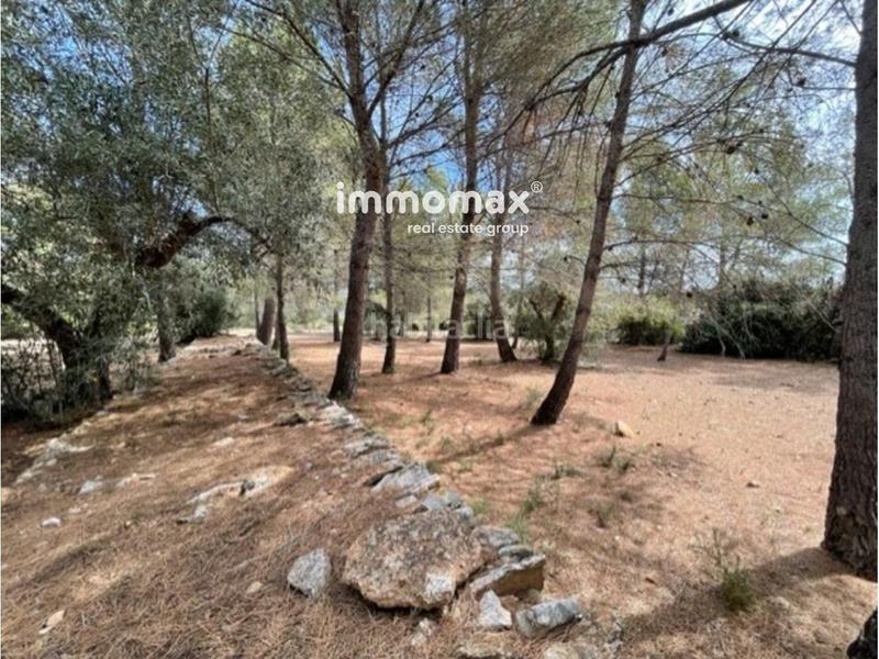 Foto 163e0c84-8815-4d6d-96d5-534dc0b1dae1. Xalet amb piscina a Perelló (El)