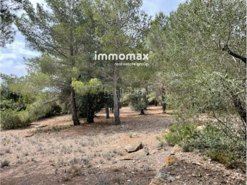 Foto 6e138aac-c828-46c5-b73d-ff8a39a581e7. Xalet amb piscina a Perelló (El)