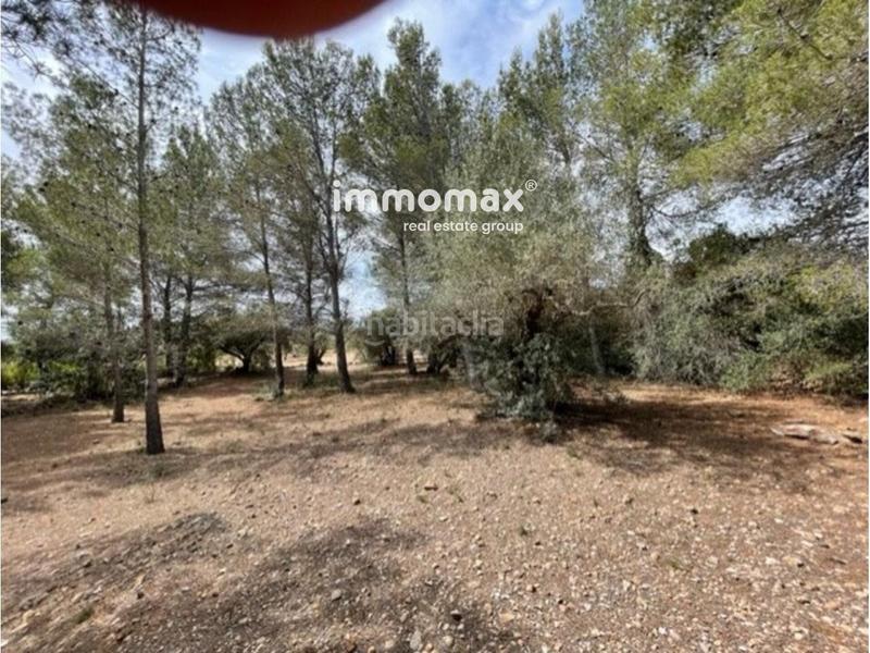 Foto b16b4db7-5d35-44d8-95f4-5a647ed4b848. Xalet amb piscina a Perelló (El)