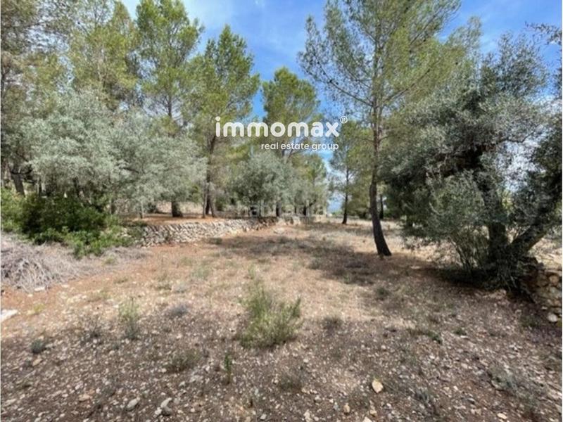 Foto ee7544d3-ff19-4ab3-ad4a-f9e73e30a44f. Xalet amb piscina a Perelló (El)