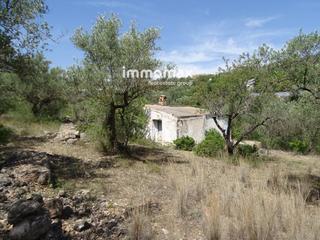 Xalet  Plaça major. Immomax ebre presenta esta maravillosa finca de 10.800 m2 situad
