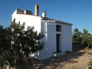 Xalet  Carretera de pauls. Finca con magnificas vistas de 5.939m2 plantada de olivos, hay u