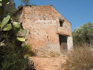 Xalet  N/a. Bonita finca de 22.094m2 plantada de olivos con bancales escalon