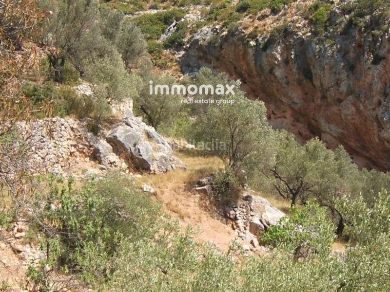 Foto 1ee98db9-86c9-4a4f-ba9d-52bfdc48824b. Xalet a Xerta