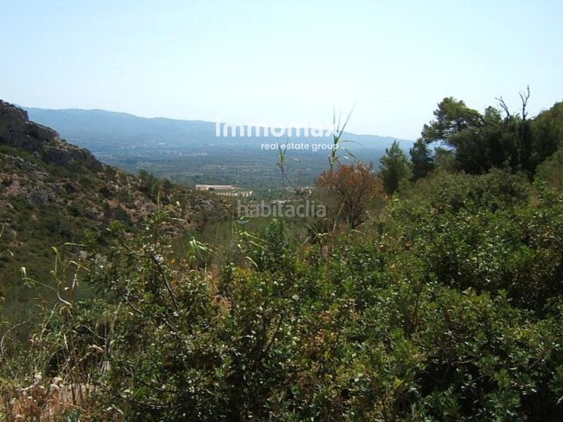 Foto 3465cfea-3fb8-49c1-b6d0-b1c62134bae9. Xalet a Xerta