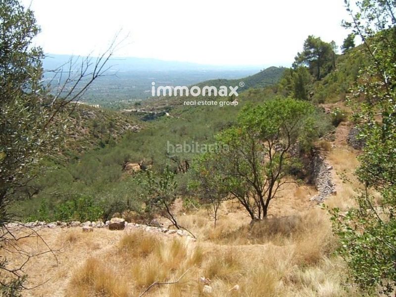 Foto 7a913daf-5a1f-48c1-8be7-533ece347635. Xalet a Xerta