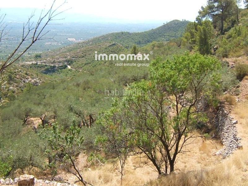 Foto b5fbc2f8-fc85-4777-a8aa-9b1748129f02. Xalet a Xerta