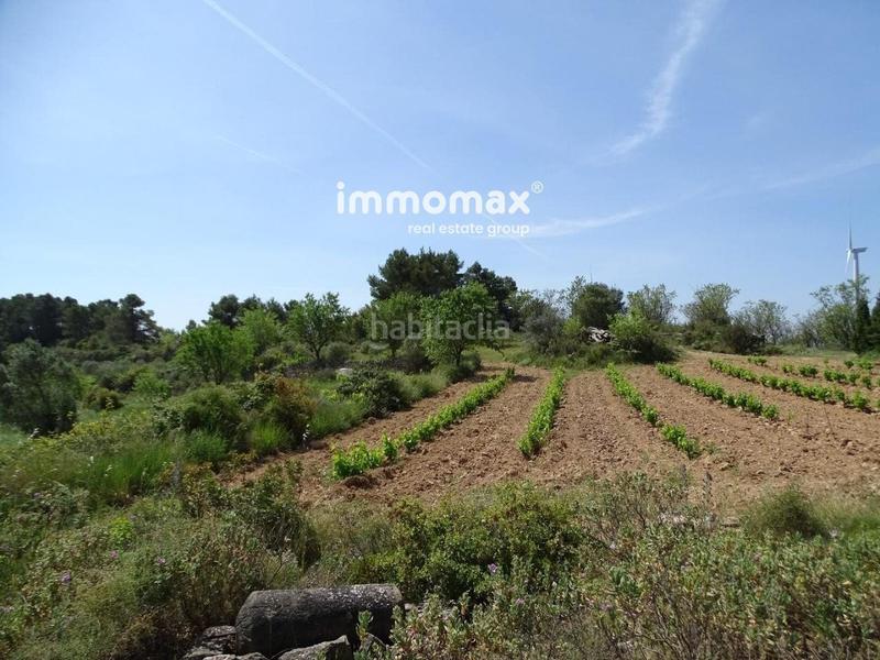 Foto aa8d8feb-5ca0-44e4-8739-d8f606922631. Chalet masia en venta totalmente reformada en Bot
