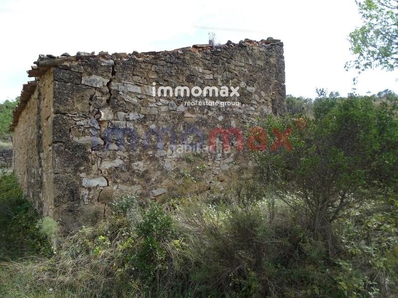 Foto 0dc4e9e2-3b89-44ae-9b0e-8f47b0f63d37. Xalet a Batea