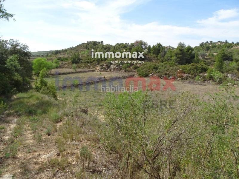 Foto 0dcea3eb-28b2-4370-93f7-cf294ed30520. Xalet a Batea