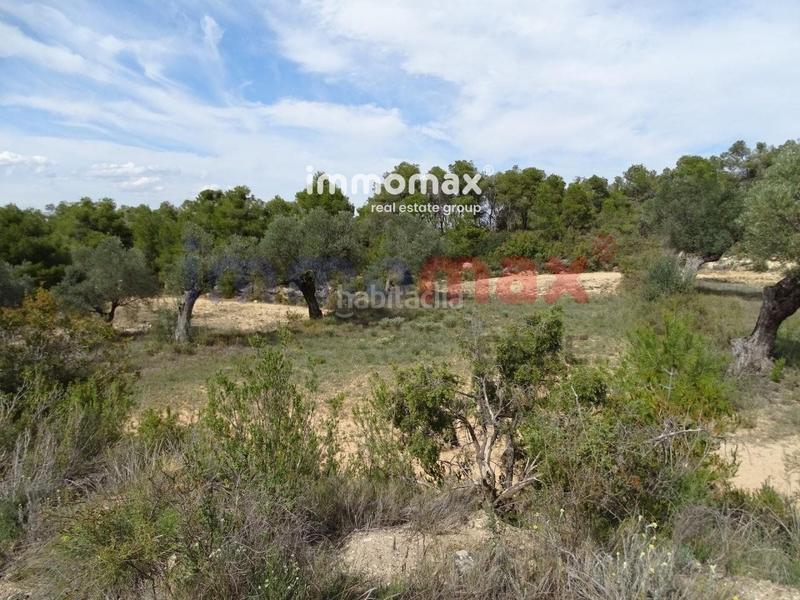 Foto 29223d46-a393-4fdb-8c52-956573818e89. Xalet a Batea