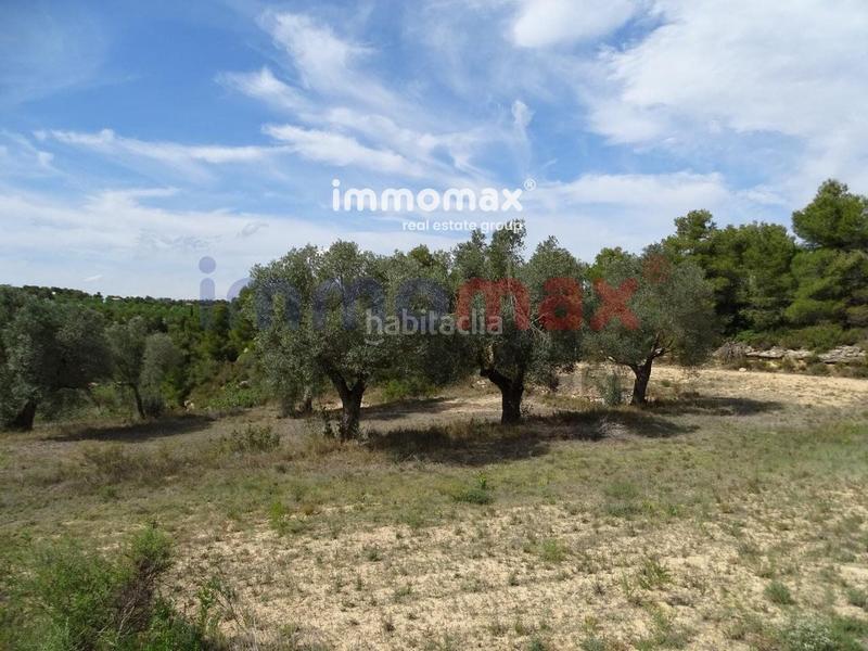 Foto 6acfd4c3-6d6d-4354-9517-c8b55cdf6c9c. Xalet a Batea