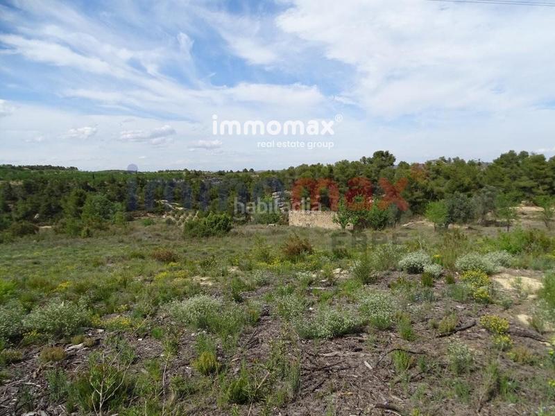 Foto 71c95d3f-5ff5-4a15-a2a5-a4bb2f871f0d. Xalet a Batea