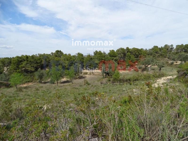 Foto 87b9fab9-c729-46cd-bcb5-ec62a7cd32ee. Xalet a Batea