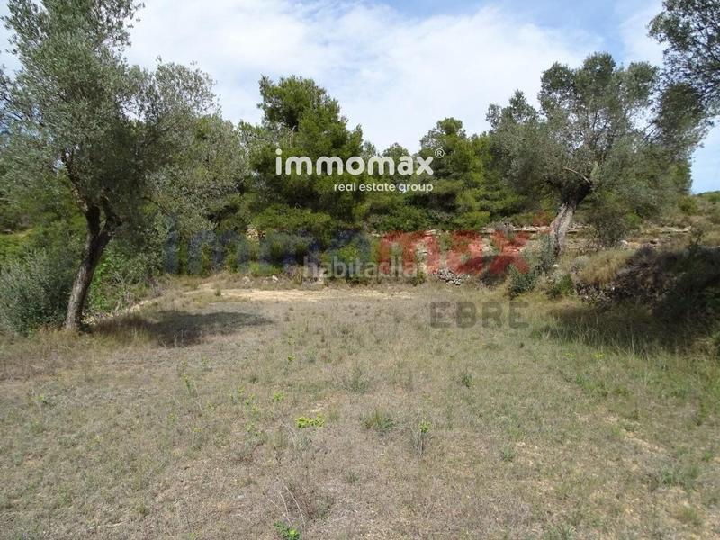 Foto 90c25fd0-0273-41fd-aad1-43ae20760a47. Xalet a Batea