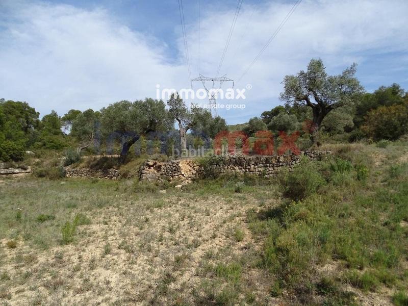 Foto a9eccd05-2ec3-4987-bdce-205bb1e1f50b. Xalet a Batea