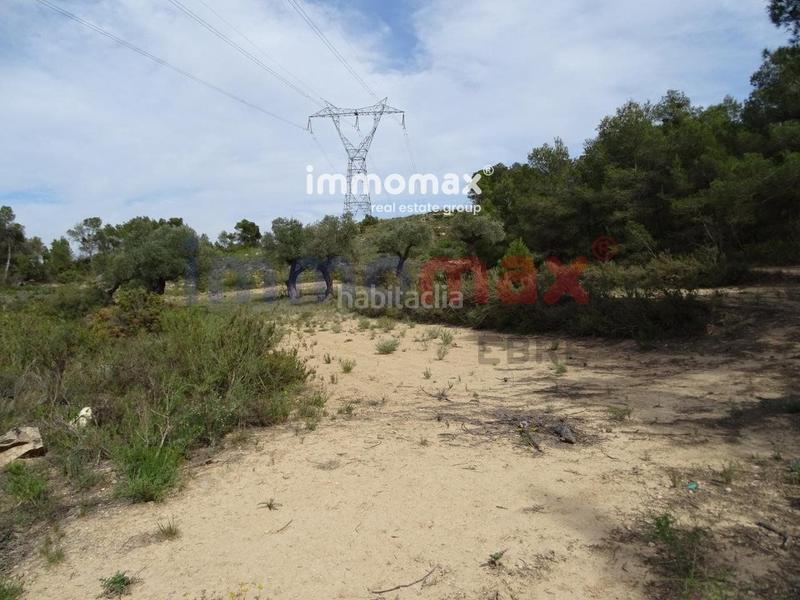 Foto aaace18b-b377-4f71-9ebd-1efe494bd712. Xalet a Batea