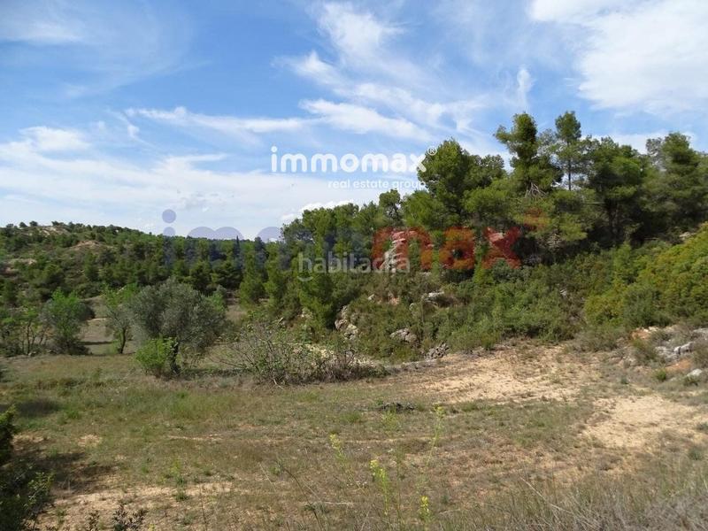 Foto ac03e4fa-6626-4340-849f-dbf8c5808c7a. Xalet a Batea