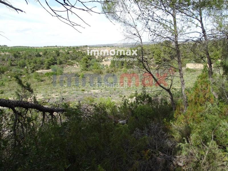 Foto cbfa571d-6cde-40cc-b275-e0dede785a7a. Xalet a Batea