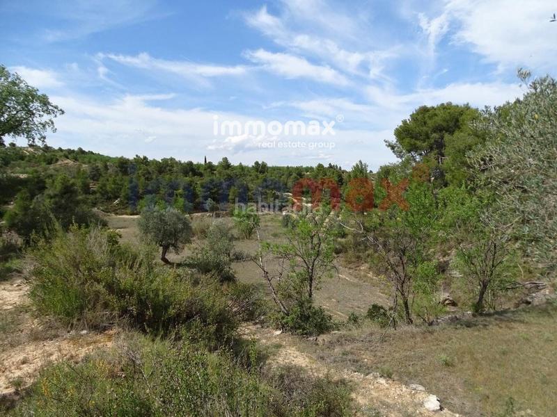 Foto cebb2573-4b80-4f55-8aa8-af05cf6ea60c. Xalet a Batea