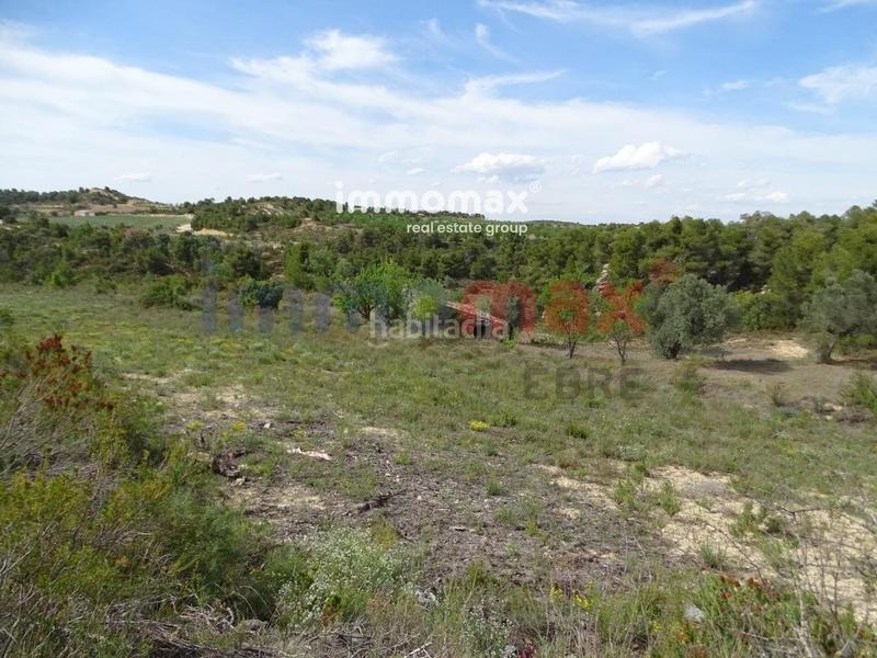 Foto d31f79b5-6878-406c-9633-f4255d53ee82. Xalet a Batea