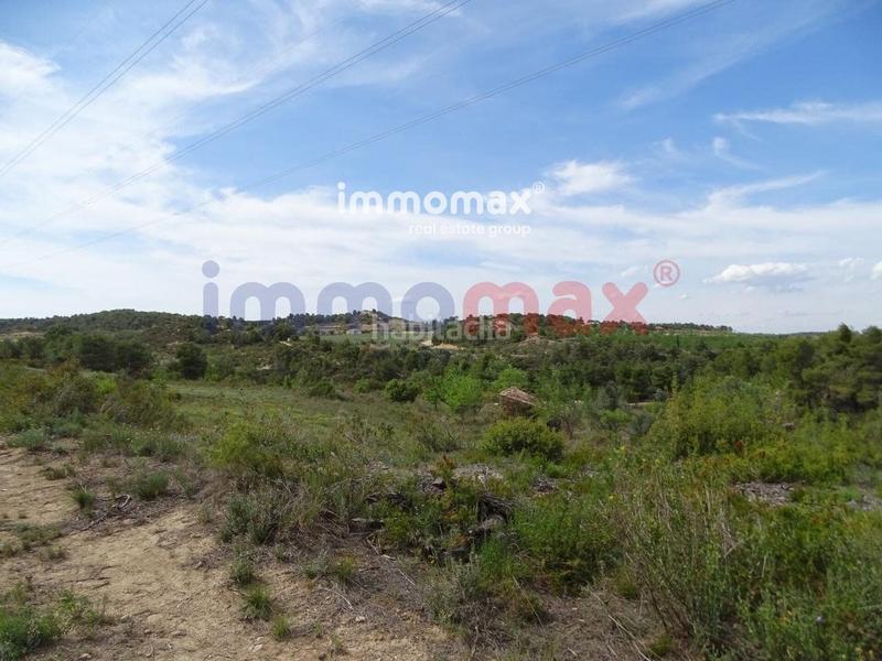 Foto e873130d-e88a-42d1-9a30-3e452639c561. Xalet a Batea