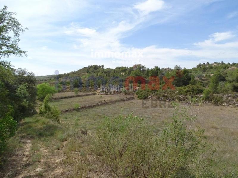 Foto fa197fb7-2d07-4f53-9328-adc9a6eb7978. Xalet a Batea