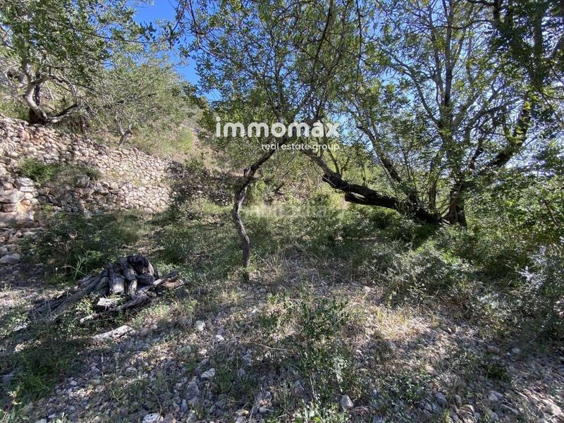 Foto 56dc12ce-f042-47aa-b40d-3a20c3adab2f. Xalet a Paüls