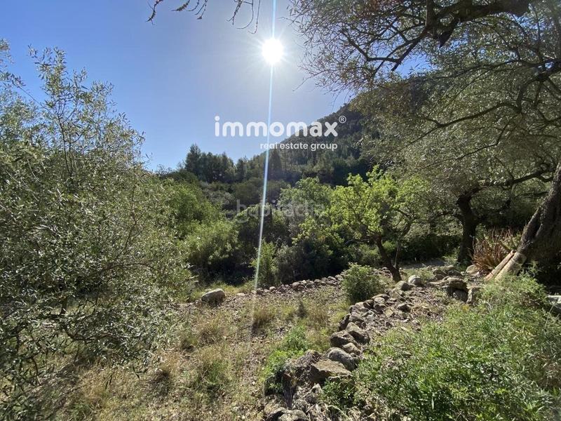 Foto 9deb39c8-98b0-4569-9576-2804eabfa4ca. Xalet a Paüls