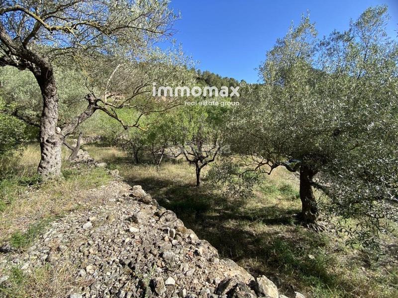 Foto e6ae1c29-9951-449b-8826-d730930ae3d2. Xalet a Paüls